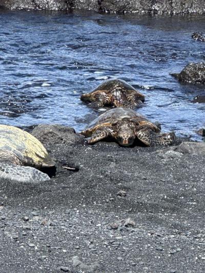 引き続きレンタカーでウロウロする(笑) ハワイ島&オアフ島でビッグバケーション ハワイ島篇③