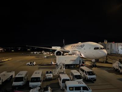 エアニュージーランドで行くぜ！成田→オークランド　Ver.2024