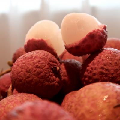 三連休で行く!ミャクミャクマンゴーライチ狩り!【2.ライチ狩り編】