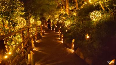 ホタル見に椿山荘 202505椿山荘③