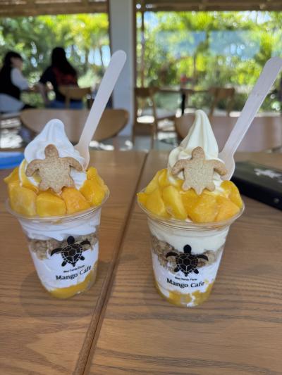 マンゴーと海亀🐢を追いかける5日間 Vol.1