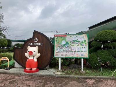 日帰りで　豚のテーマパーク　サイボクと智光山公園に行きました