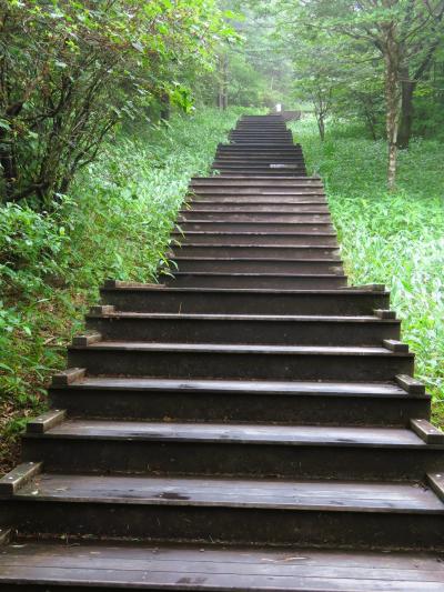日光‐1　霧降高原a   霧もよう/軽ハイキング　滞在90分　☆700階段‐避難小屋‐キスゲ平園地