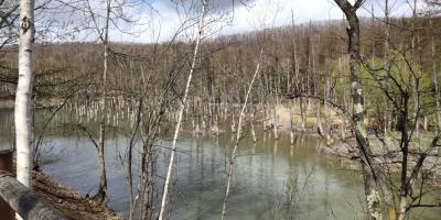 行きたかった青い池