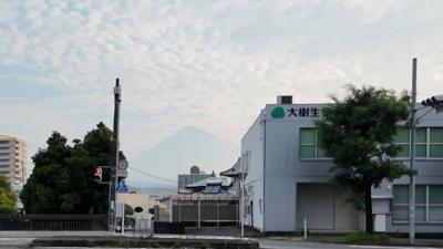 早朝散歩 ～小潤井川沿いを歩きました～ 2025.06.29