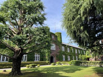 2025年6月28日　早朝サイクリング、昼サイクリング　板橋区・豊島区・新宿区・杉並区・文京区