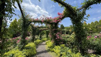 軽井沢 レイクガーデン