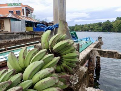 【タイさんの東南アジアの旅】ラン島からアイ島へ, バンダ諸島。
