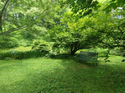 最近の軽井沢の夏は暑いそうです