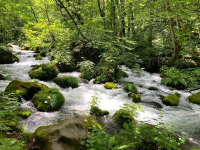 大人の休日倶楽部パスで行った♪1泊2日の青森 ~2日目の奥入瀬渓流~