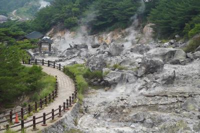 20250701 雲仙 島原港からバス乗って雲仙→絹笠食堂で皿うどん→温泉神社・満明寺・地獄めぐり・木花開耶姫神社・原生沼歩道→晩飯無い…