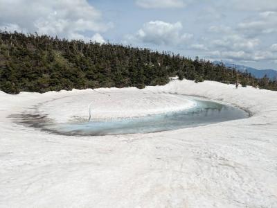 兄妹旅行　東北編 (弘前城・ドラゴンアイ・中尊寺）