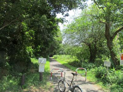 くるみの森@取手、散策こころみ(入り込む!を断念なので、、、)