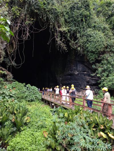 アラフィフがパッケージツアーでまわるボルネオ12日間 Day 4