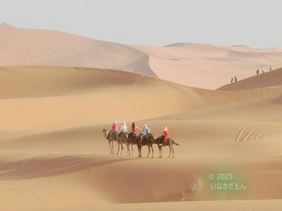 2025 爺のモロッコ旅　メルズーガ砂漠 (サハラ砂漠)～ワルザザート