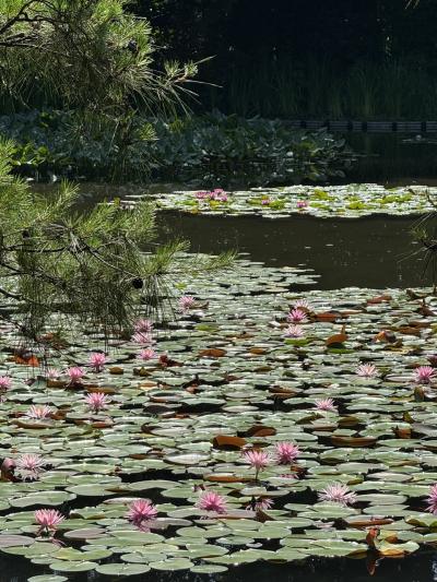 暑さに負けず京都女子旅