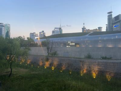 東大門でショッピングを楽しむ２泊３日の女一人旅②