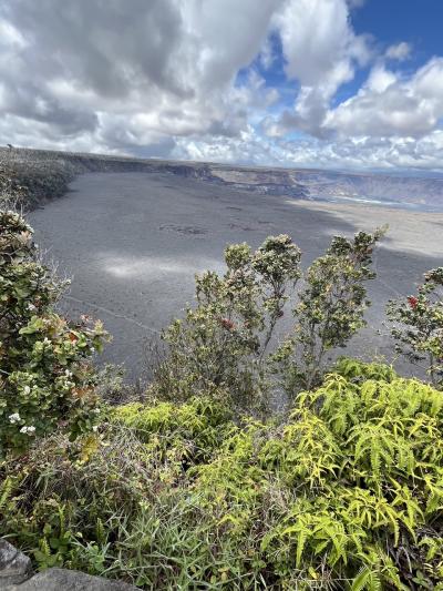 2024年5月ハワイ島8日目　ハワイ火山国立公園 ハイキング