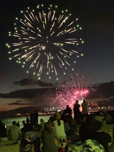 フライングホヌ ビジネスクラスで帰る(泣) ハワイ島&オアフ島でビッグバケーション オアフ島篇②