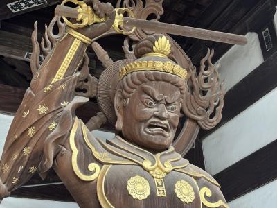 四国八十八ヶ所霊場 ホンキの歩き遍路 ＜愛媛区切り打ち＞ 37日目 JR浅海駅～56番泰山寺