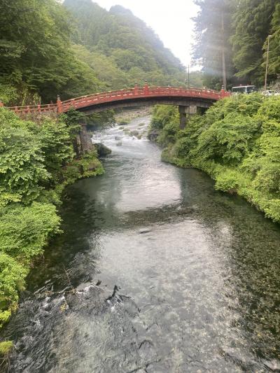 JALどこかにマイルで初の栃木県！日光&宇都宮への旅　その①