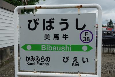 7月の札幌、美瑛、小樽旅