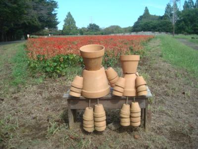 9月下旬、大宮花の丘農林公苑のサルビアはちょっと枯れかけ。