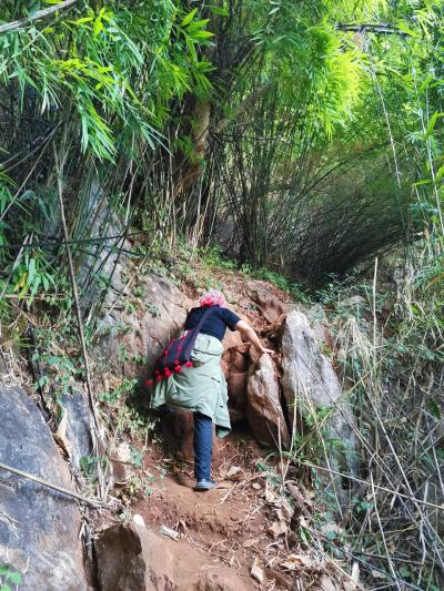 2024年冬の摩訶不思議姉妹旅11(昔のノンキアウと比べちゃダメ)