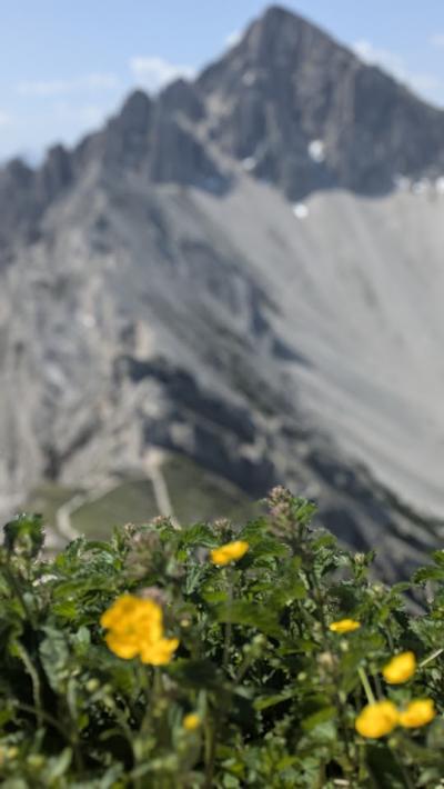 天空の稜線歩き　ゼーフェルター・シュピッツへ
