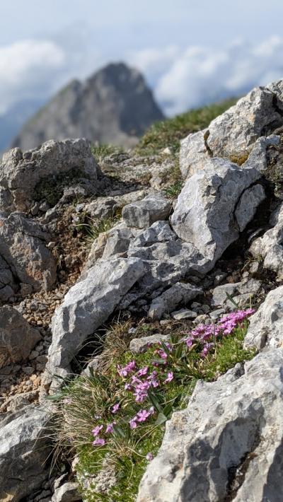 ロープウェイで上がれる鋭鋒カーヴェンデルへ