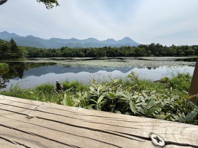 2025年7月 知床、網走へ。1日目はkiki知床ナチュラルリゾート2日目は知床五湖