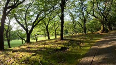 早朝散歩 ～青葉通りから潤井川沿いを歩きました～ 2025.06.22