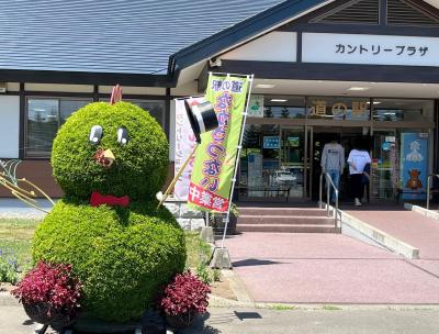 ⑧マダムの十勝帯広滞在の旅　３日目の２　道の駅なかさつない～襟裳岬