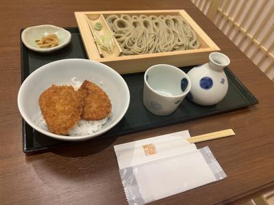 ソロトラベラー(どこかにビューーン de 新潟)♯522