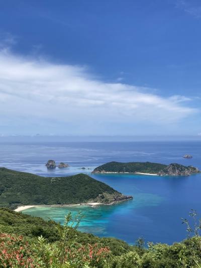 せっかく奄美行くなら、加計呂麻島に寄ってみて
