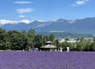⑪マダムの十勝帯広滞在の旅　４日目の２ ファーム富田～四季彩の丘