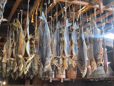 2025年日本の冬巡り(11)イヨボヤの故郷で新多久の絶品料理→仙台へ