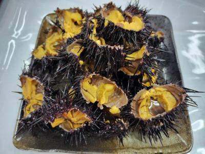 2025夏の青森　どこかにマイルで三沢へ　その2は佐井のウニと仏ヶ浦