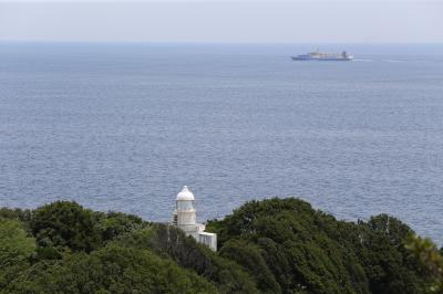 土佐清水の穴場をロイロイと