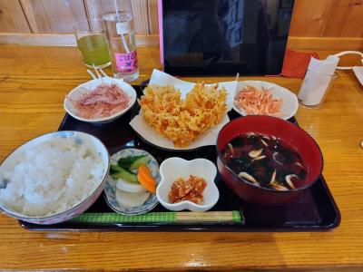 2024 仙台を離れ神奈川へ。無職で時間だけはあるから温泉行こう【前編：由比で桜えび編】