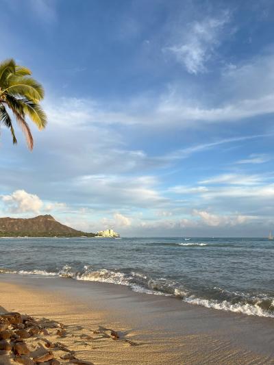 食物アレルギーっ子とのハワイ！！グルテンフリー他...＜③買い物等＞ 
