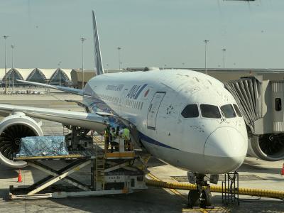 ANAバンコク搭乗記2025/01　その2(BKK-HND Y)：復路 SFMLはいかが？