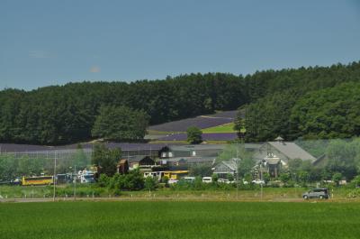 2025年7月北海道鉄道旅行4（富良野線）