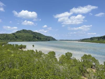 2025年うりずん八重山ひとり旅 ｰ ぶらり西表島 ｰ』西表島(沖縄県)の