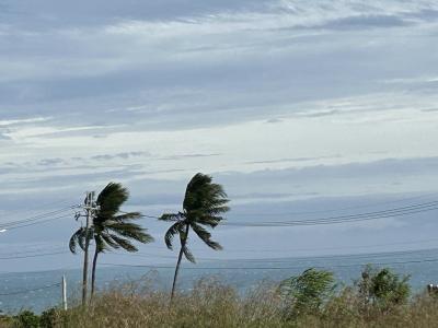 試練の台湾旅行　2日目