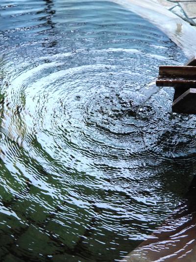 2025　新潟「初夏の花・温泉と凧合戦」の旅〈新潟県長岡・三条・燕・小千谷・魚沼・五泉・見附＞  