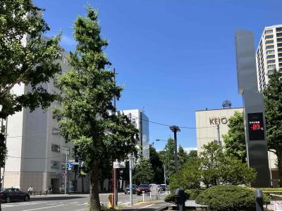 音楽祭と「涼」を求めて札幌へ！（２日目）