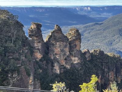ブルーマウンテン、バスツアー