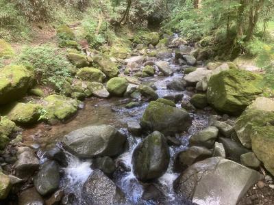 箱根フリーパスで1泊2日　龍宮殿宿泊　神山、駒ヶ岳も登ってきました