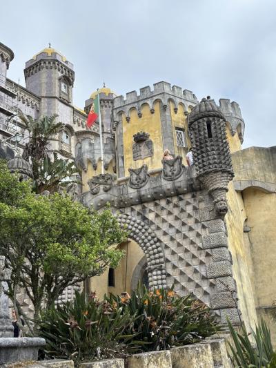 美味しいポルトガル　イワシの塩焼き＆バカリャウ＆トリパス食べまくり　その2